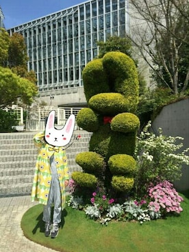 マッシュルームさんのコーディネート