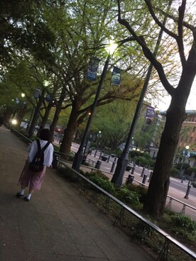  ハゲ奈さんのコーディネート