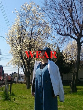  ハゲ奈さんのコーディネート