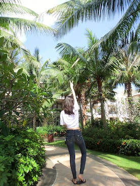 Gaooczさんのコーディネート