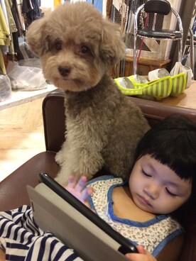 小「霏」俠さんのコーディネート