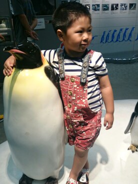 ゆーまんさんのコーディネート