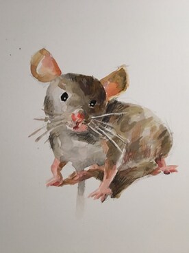 flora さんのコーディネート