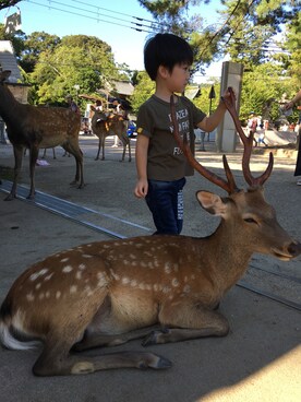 sotaさん(キッズ・110cm)の秋コーディネート