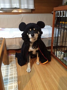 はる♡あんずさんの（Disney | ディズニー）を使ったコーディネート