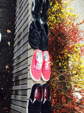 サクジローさんのコーディネート