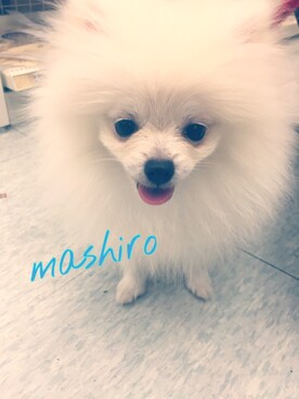 みさちんさんのコーディネート