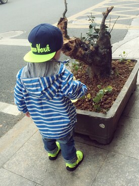 贵妇さんのコーディネート