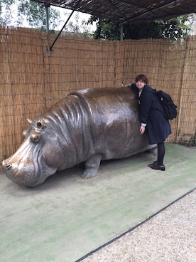 Rino Fumiokaさん（レディース・166cm）の冬コーディネート