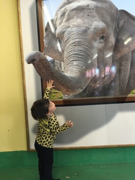 haruさんのコーディネート