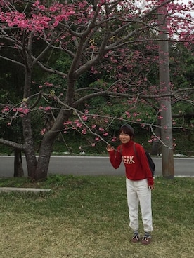 piccoさんのコーディネート