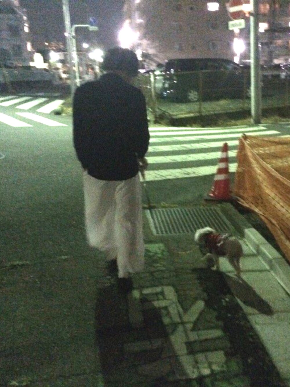 「レディース、アパートバイローリーズ、Saint Laurent、saint laurent paris、ガウチョパンツ、ホワイト、散歩」｜「A part byのアイテム（パンツ、ホワイト系）」を使った、ASUさん（メンズ・170cm）の冬コーディネートの1枚目の写真