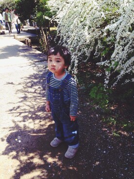 ぼろさんのコーディネート