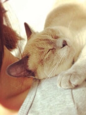 eさんのコーディネート