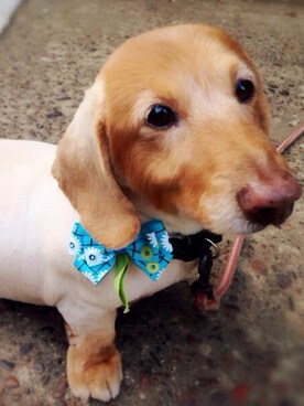 eさんのコーディネート