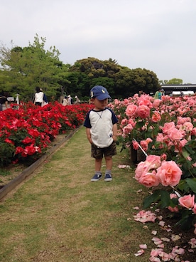 maasaringさんのコーディネート