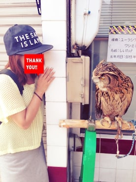 ミーコ( ´･▿･` )さんのコーディネート