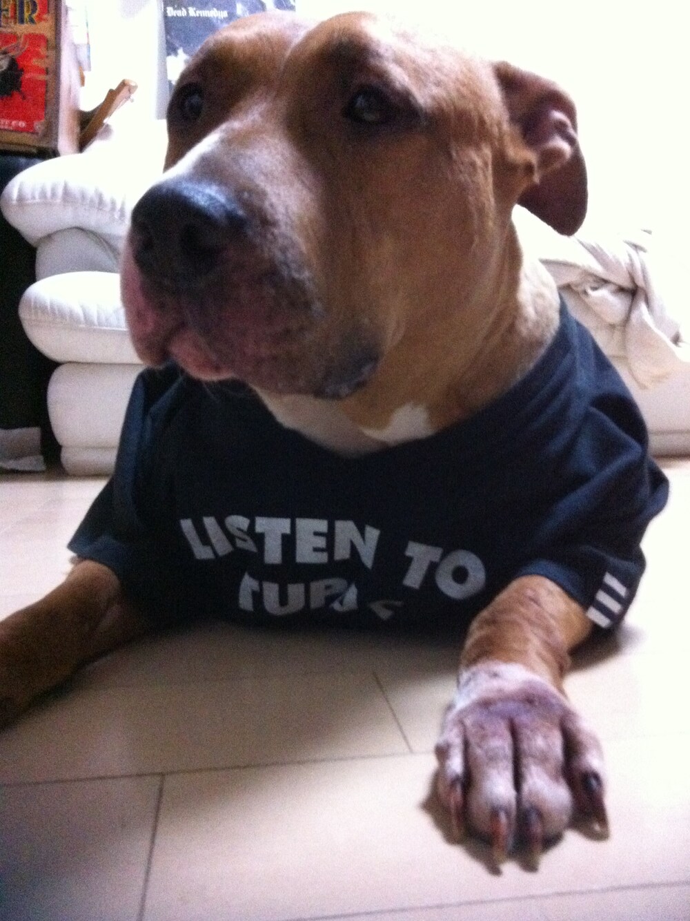 ブラック系のTシャツ/カットソーを着用したメンズの夏コーディネートの1枚目の写真