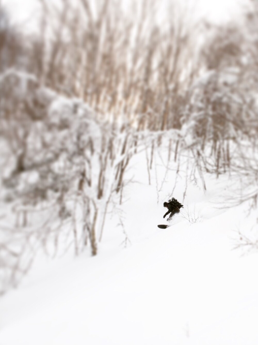 「ハイキング、ハイキングスタイル、アウトドアスタイル、アウトドア、山登りスタイル、山、山男、スノーボードウェア、スノーボード、MofM(manofmoods)」｜「MofM(manofmoods)のeVent Mount JK・Lightweight（ナイロンジャケット、オレンジ系）」を使った、福山正和さん（メンズ・178cm）の冬コーディネートの1枚目の写真