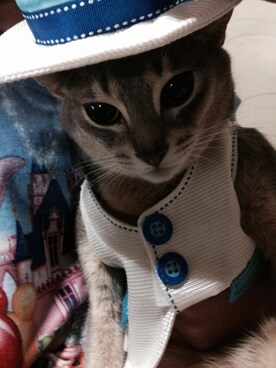 YURIさんのコーディネート