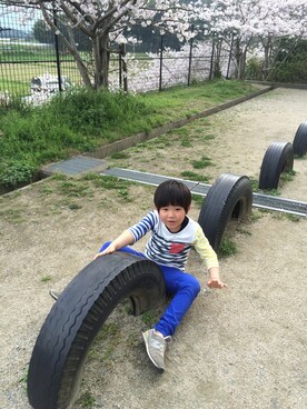 shusoさんのコーディネート