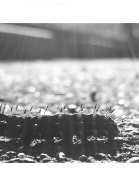 おでぶさんのコーディネート