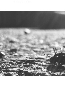 おでぶさんのコーディネート