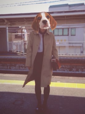 「A.P.C.（アーペーセー）のアイテム（ステンカラーコート）」を使った、eye.candyさん（レディース・153cm）の春コーディネート