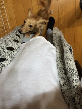 chihiroさんのコーディネート