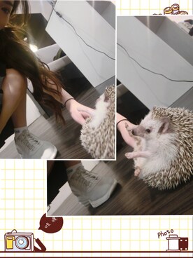 ナツミさんのコーディネート