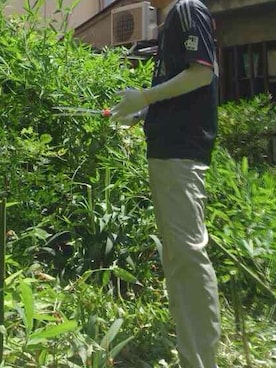 めんまさんのコーディネート