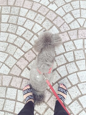 まちょ*°さんのコーディネート