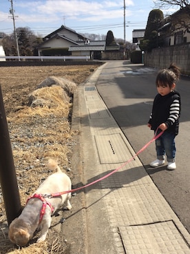 RUIchelさんのコーディネート