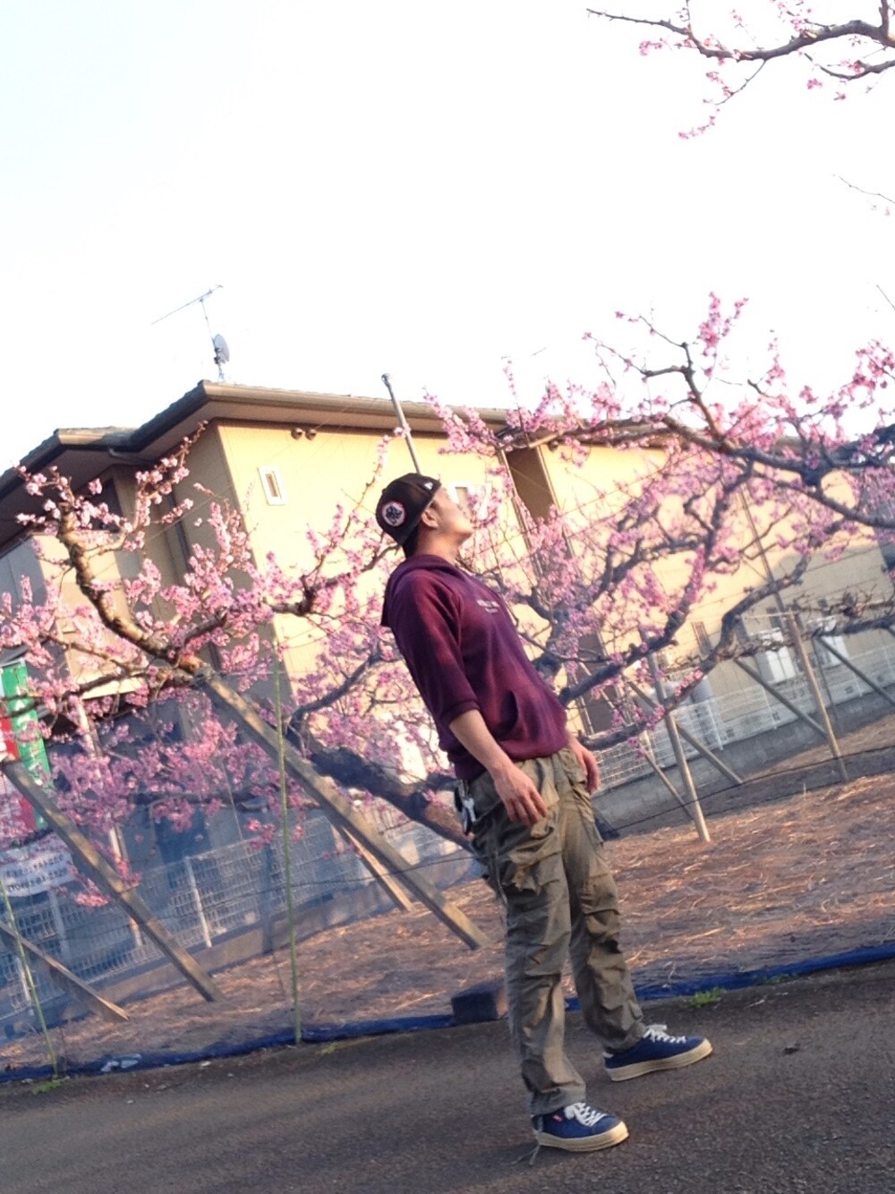 「桜、ピッコロ、花見」｜「NEW ERAのニューエラ ドラゴンボール ピッコロ大魔王「魔」キャップ（キャップ、ブラック系）」を使った、ECPWさん（メンズ・173cm）の春コーディネートの1枚目の写真
