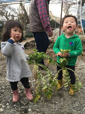 「しまむら（シマムラ）のアイテム（チュニック）」を使った、SAKURA0507さん（キッズ・90cm）の春コーディネート