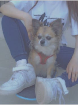 saepiさんのコーディネート