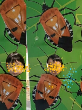 「きょうだい」｜「アイテム（その他）」を使った、satoshiさん（キッズ・100cm）の冬コーディネート
