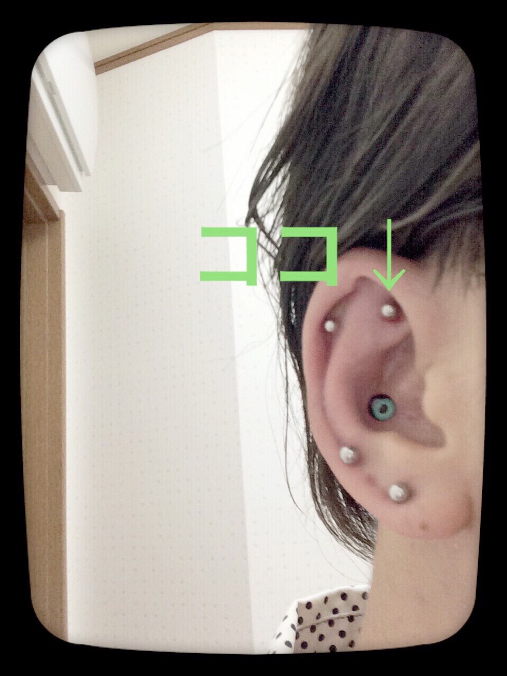 「ピアス、ボディピアス、目ん玉ピアス、フェス、フェス告知、くわえタバコフェス」｜「無理やり 宣伝告知(=ﾟωﾟ)ﾉのアイテム（その他、ホワイト系）」を使った、タコ太郎さん（メンズ・168cm）の夏コーディネートの1枚目の写真