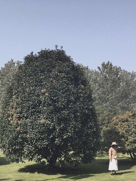 eggさんのコーディネート