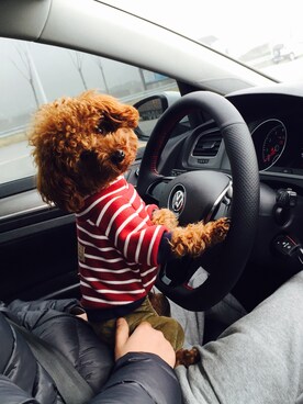 虫子さんのコーディネート