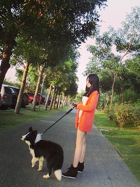 犬の散歩 の人気ファッションコーディネート 地域 中国大陸 Wear