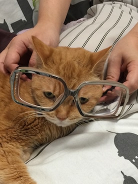 SOUさんのコーディネート