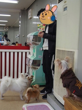 るーにょんさんのコーディネート