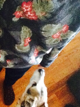 たけだかなこさんのコーディネート