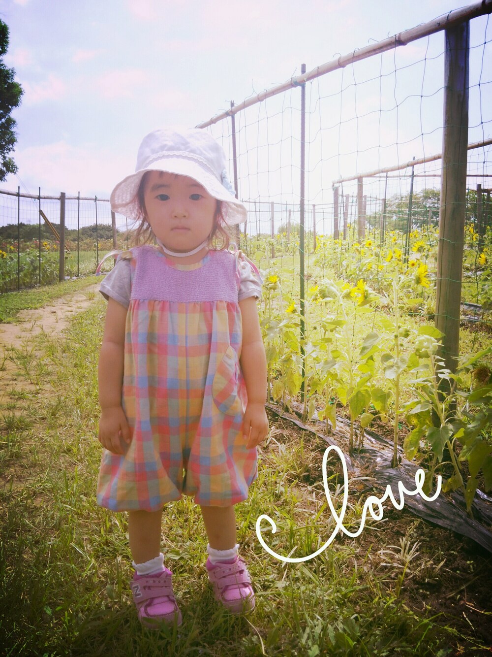 「ひまわり、ピンクコーデ、夏」｜「母のお下がりのアイテム（ママ＆ベビー、その他）」を使った、Hiyoさん（キッズ・70cm）の夏コーディネートの1枚目の写真