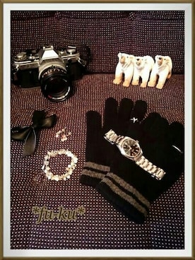 「WR（ダブルアール）のアイテム」を使った、服福かなこさん（レディース・155cm）の秋コーディネート