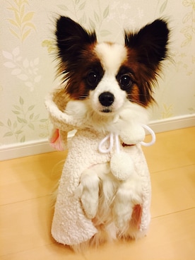 ＊かな＊さんのコーディネート