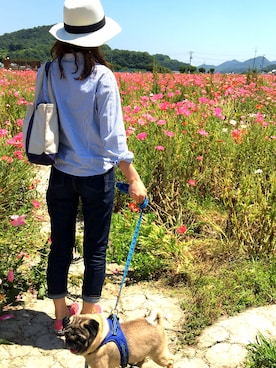 智子さんのコーディネート