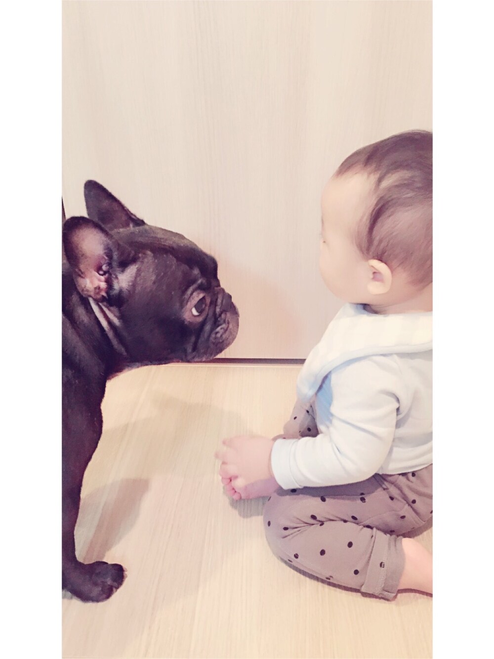 「むすこーで、フレンチブルドッグ、相棒、部屋着、スタイ、ビブ、正座、愛犬、赤ちゃんと犬、ペット」｜「番外編♡のアイテム（その他、その他）」を使った、Minatonca*さん（キッズ・80cm）の秋コーディネートの1枚目の写真