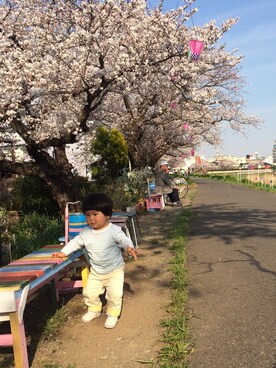 NORIPさんのコーディネート